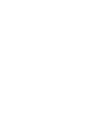 Footer Avada Festival Logo footer-logo-fest